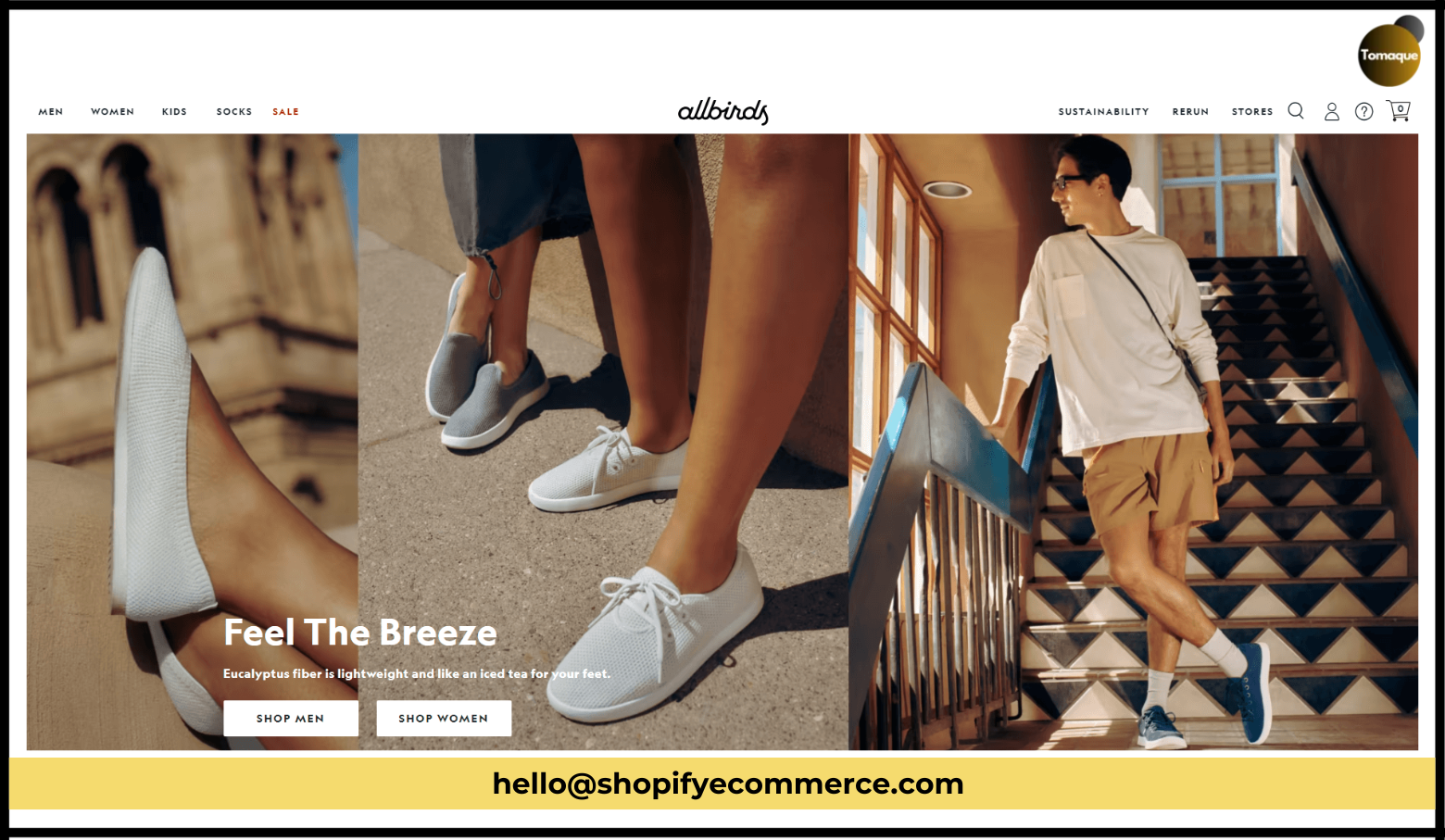 Allbirds